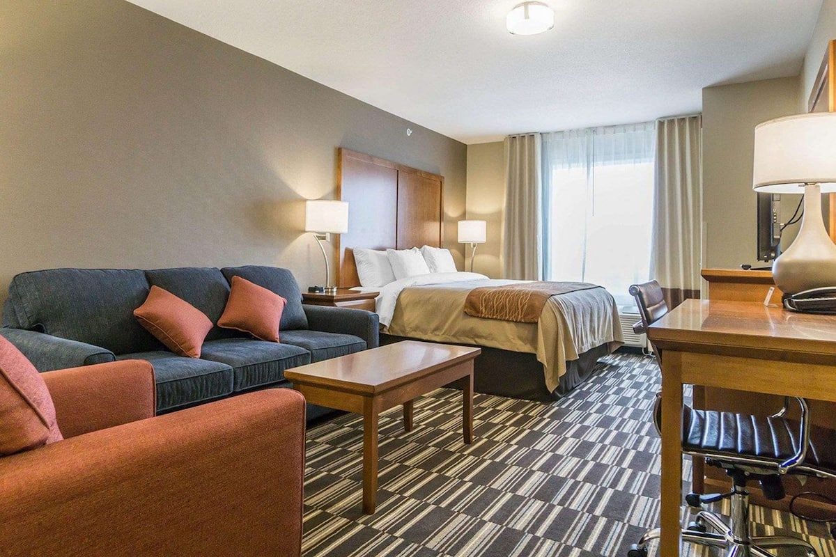 executive suite, 1 king bed with sofa bed, non smoking | premium bedding, pillow-top beds, desk, iron/ironing board