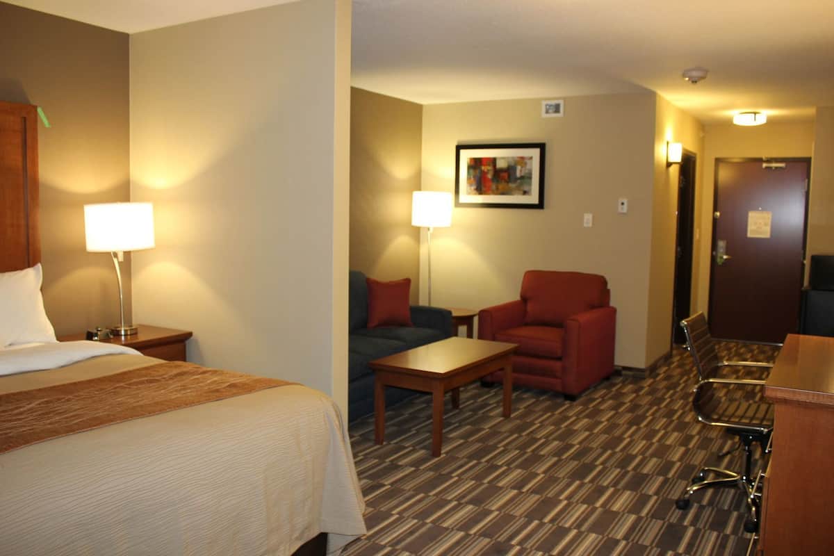 A hotel room with a bed, a desk, a chair, a sofa, and a lamp.