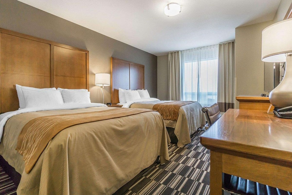 standard room, 2 queen beds | premium bedding, pillow-top beds, desk, iron/ironing board