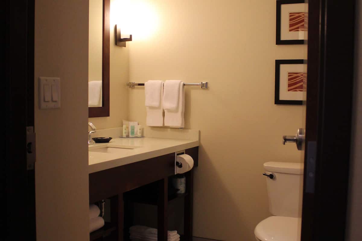 combined shower/bathtub, free toiletries, hair dryer, towels