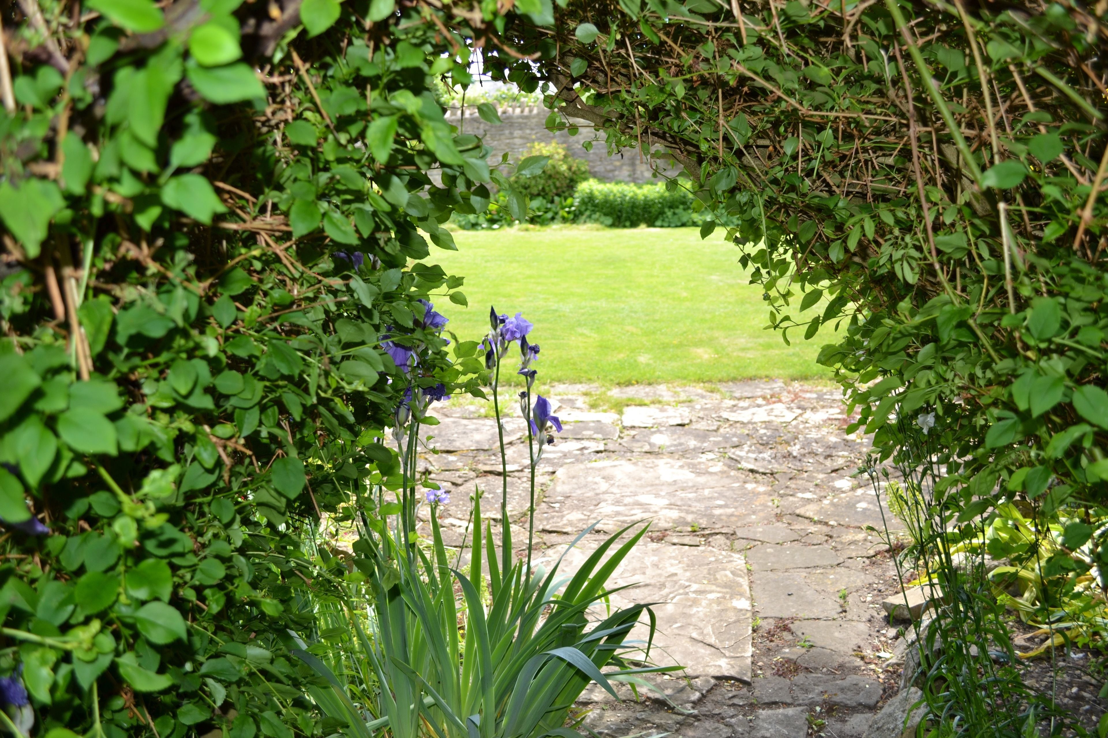 Standard Twin Room, 2 Twin Beds | Terrace/patio