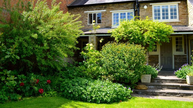A stone house with a brick wall, a garden with various plants and flowers, and a well-maintained lawn. - The Queen Hotel (Olney)
