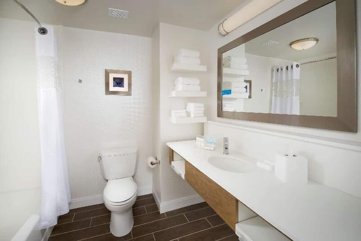 A bathroom with a toilet, a sink, a mirror, and a shower curtain.