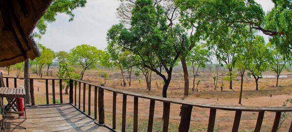A wooden deck with a railing overlooking a dry landscape with scattered trees.