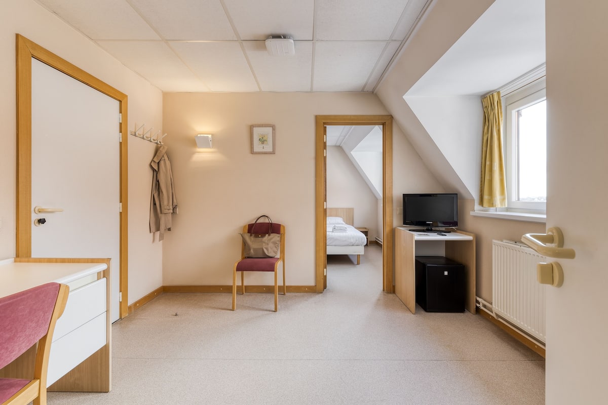 Une chambre d’hôtel compacte comprenant un bureau, une chaise, un lit, une télévision et une petite kitchenette.