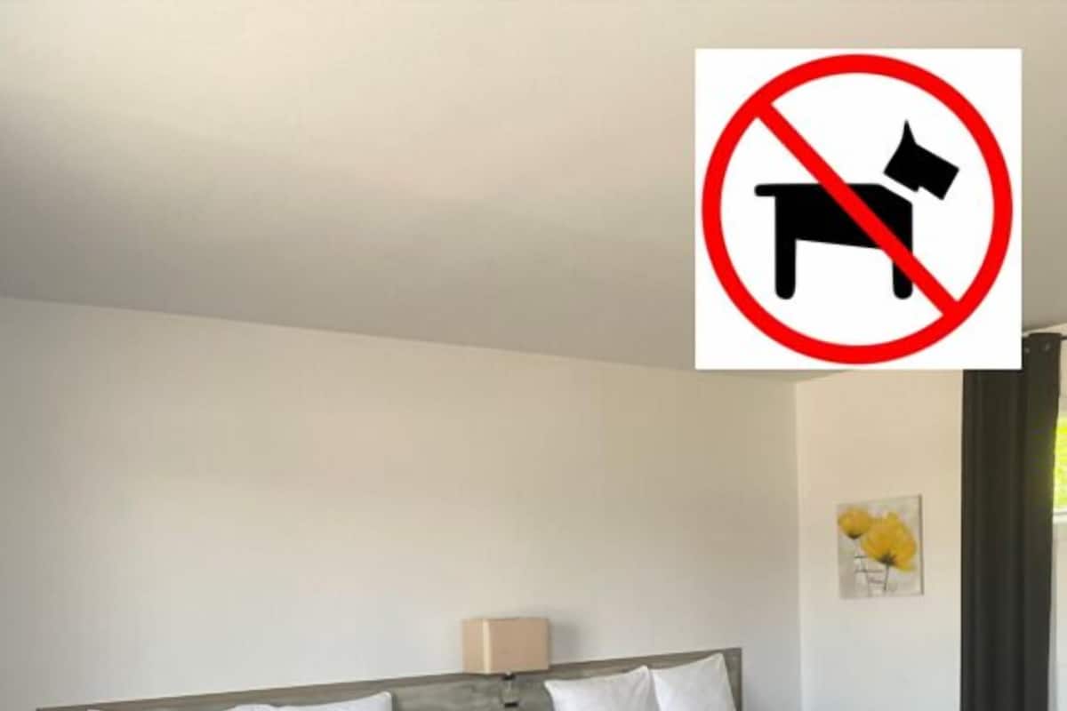 Rum - 2 queensize-sängar | 1 sovrum, skrivbord, mörkläggningsgardiner och strykjärn/strykbräda