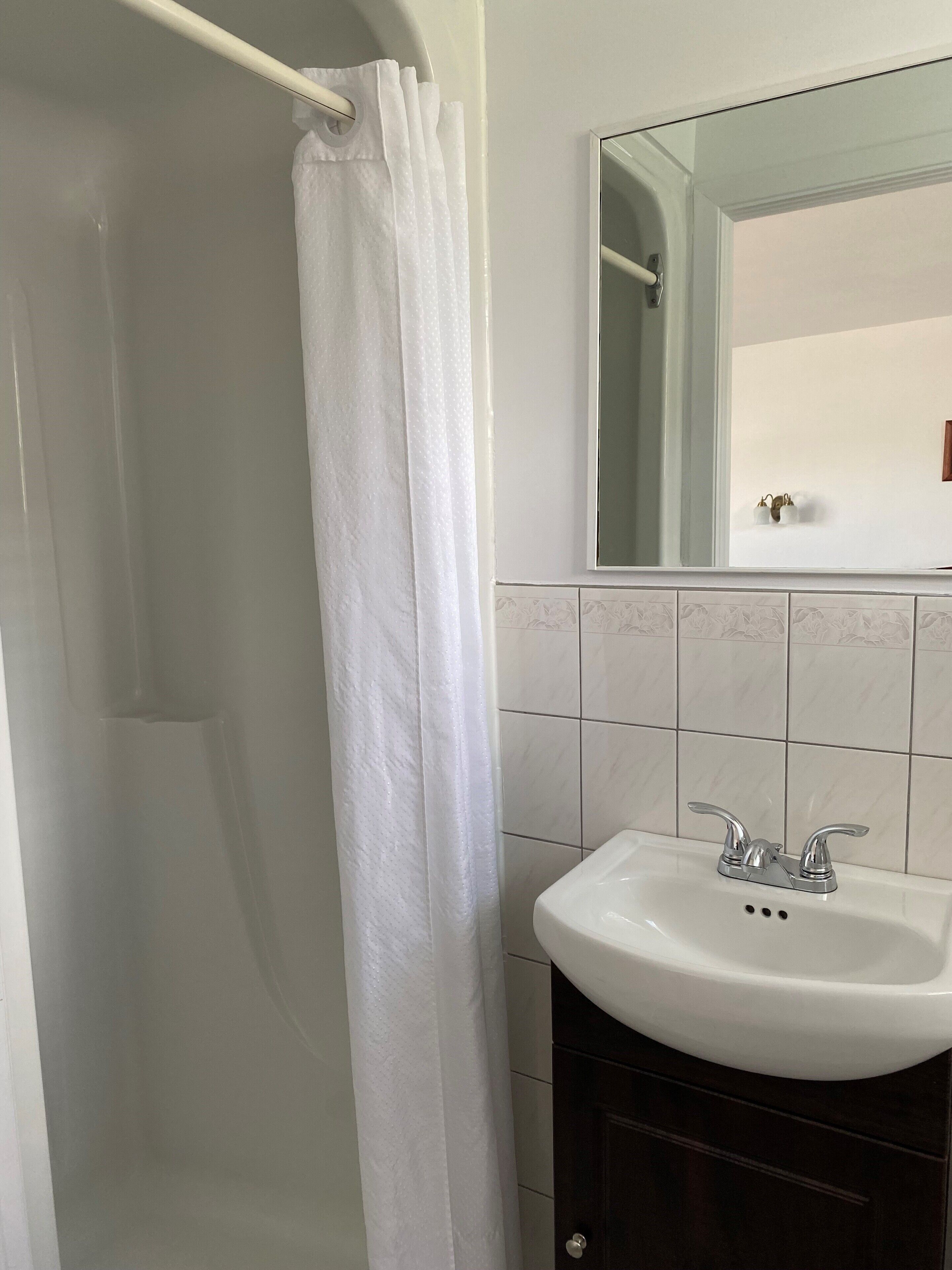A bathroom with a shower, a sink, and a mirror.