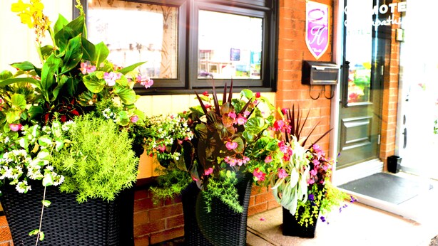 Entrada de hotel com fachada de tijolos, porta de vidro e placa indicando o nome do hotel. Há plantas em vasos com diversas flores em frente à entrada.