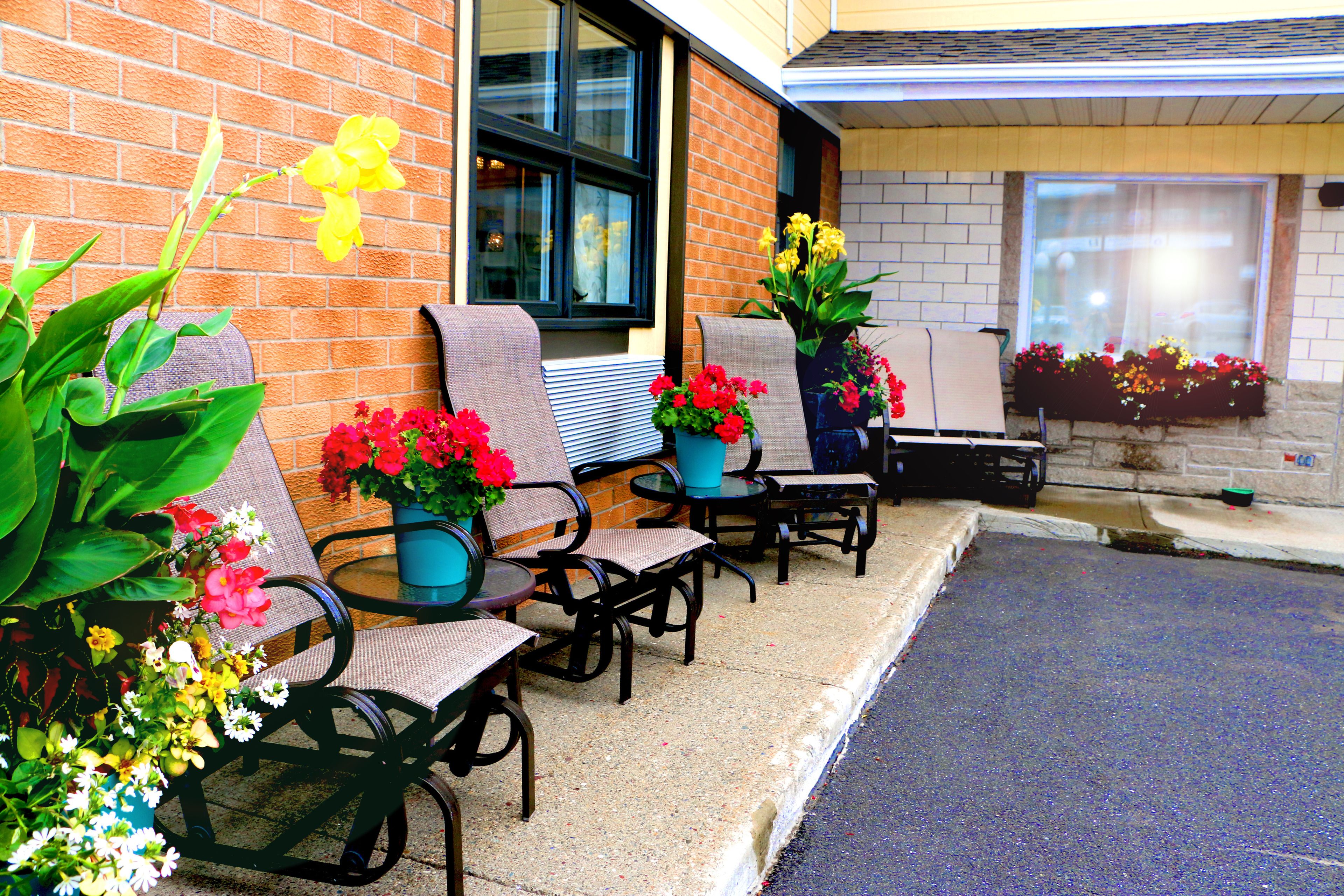 Un espace extérieur aménagé avec des chaises et des tables, des plantes en pot et une façade de bâtiment en briques.