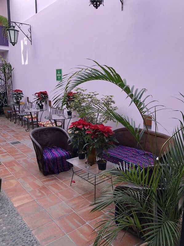 An outdoor patio with terracotta tiles, a variety of potted plants, and seating arrangements including a sofa and chairs. - Olga Querida Hostal - Hostel (Guadalajara)