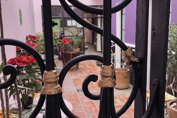 Vistas al patio