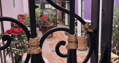 Olga Querida Hostal - Hostel