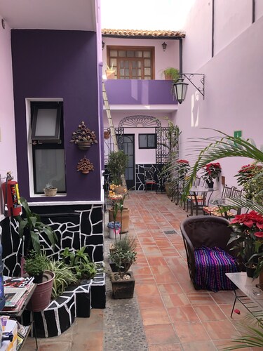 Olga Querida Hostal - Hostel