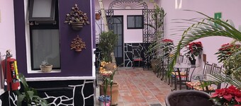 Olga Querida Hostal - Hostel