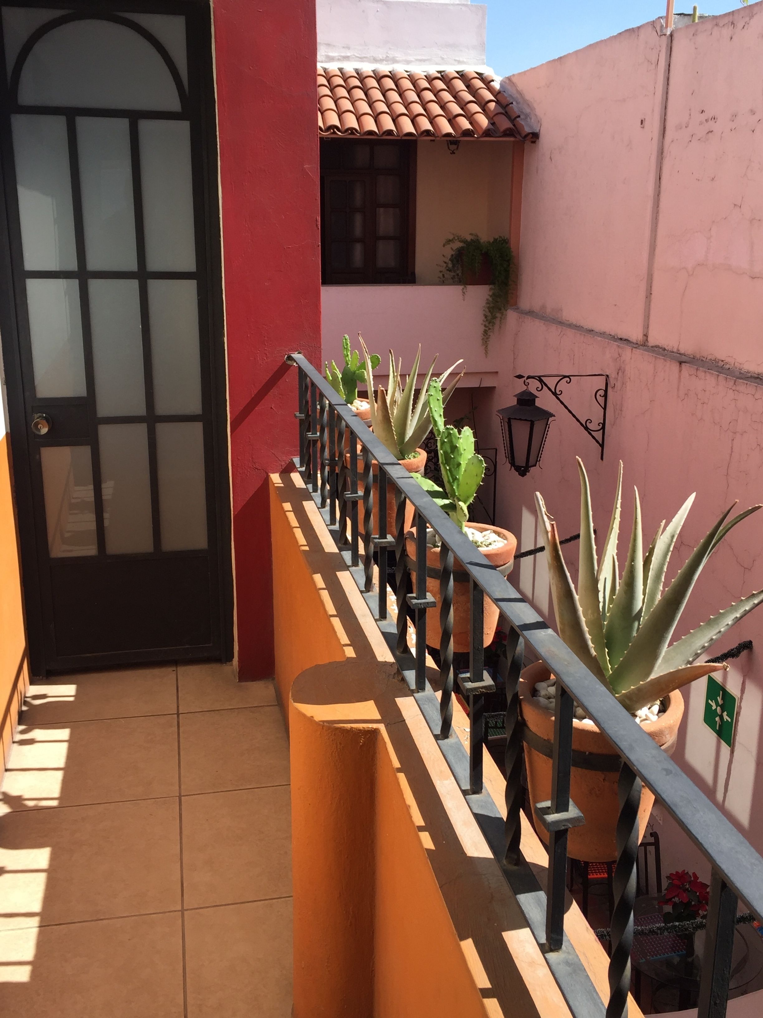 Un balcone con piante in vaso, una porta nera e un pavimento piastrellato.