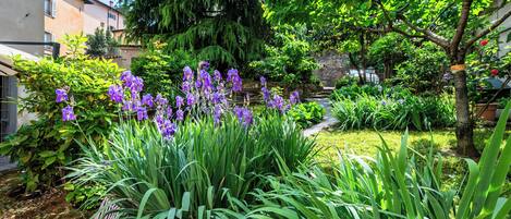 A garden with purple flowers, green plants, and a pathway.