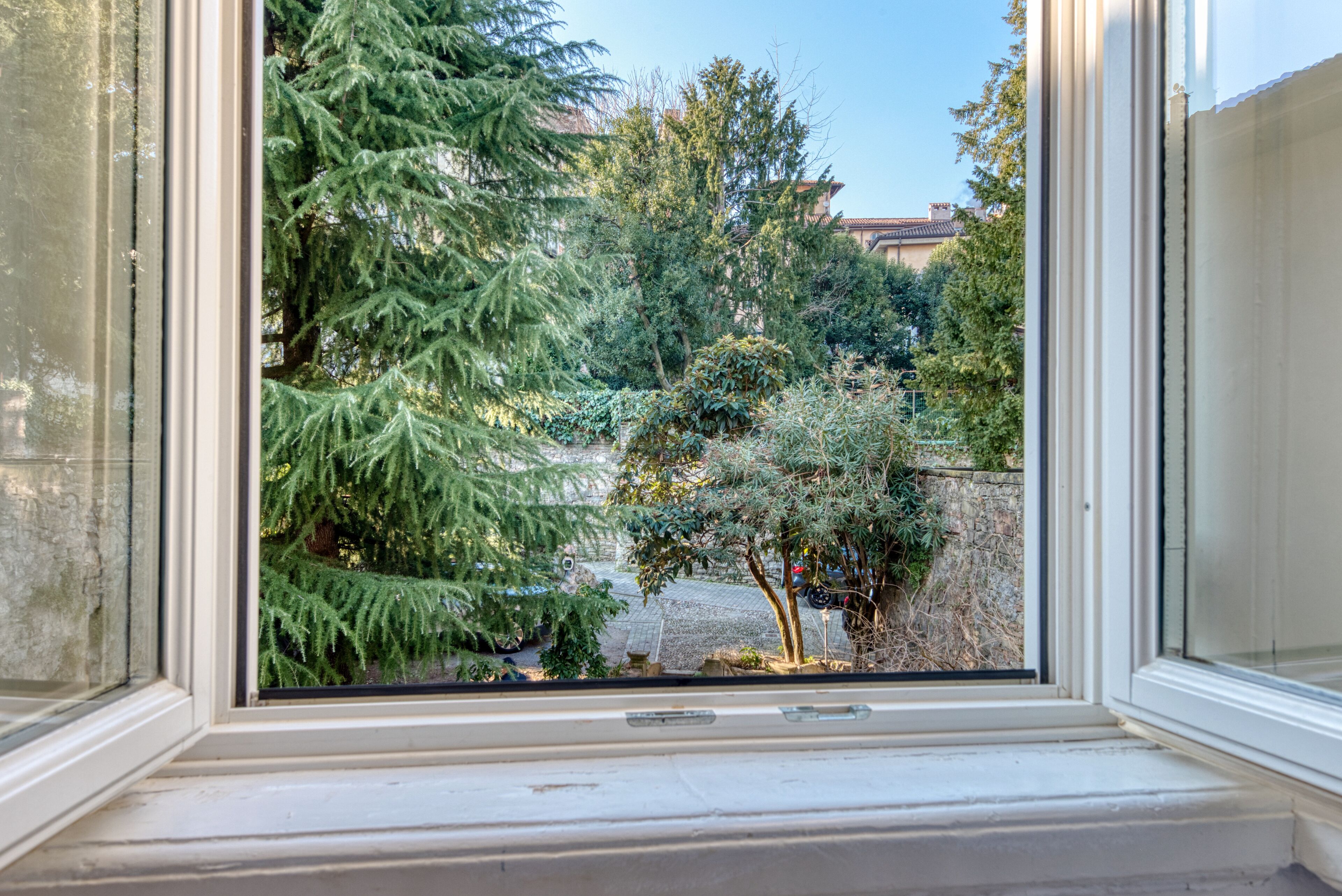 Blick aus dem Fenster auf einen Garten mit verschiedenen Bäumen und Sträuchern.