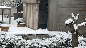 A wooden building with a door, a small outdoor seating area, and snow-covered plants.