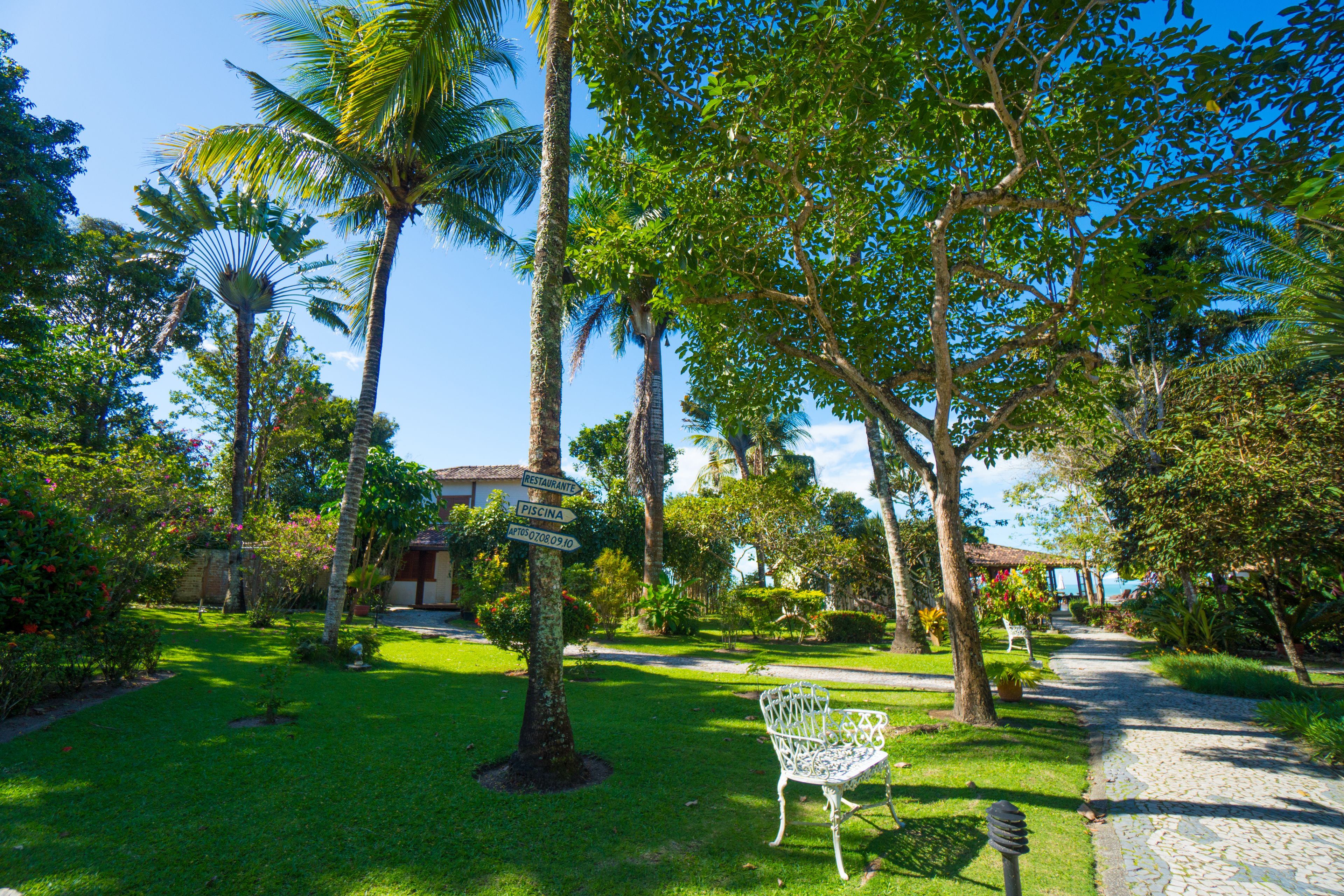 A garden with a pathway, palm trees, and a white metal bench.