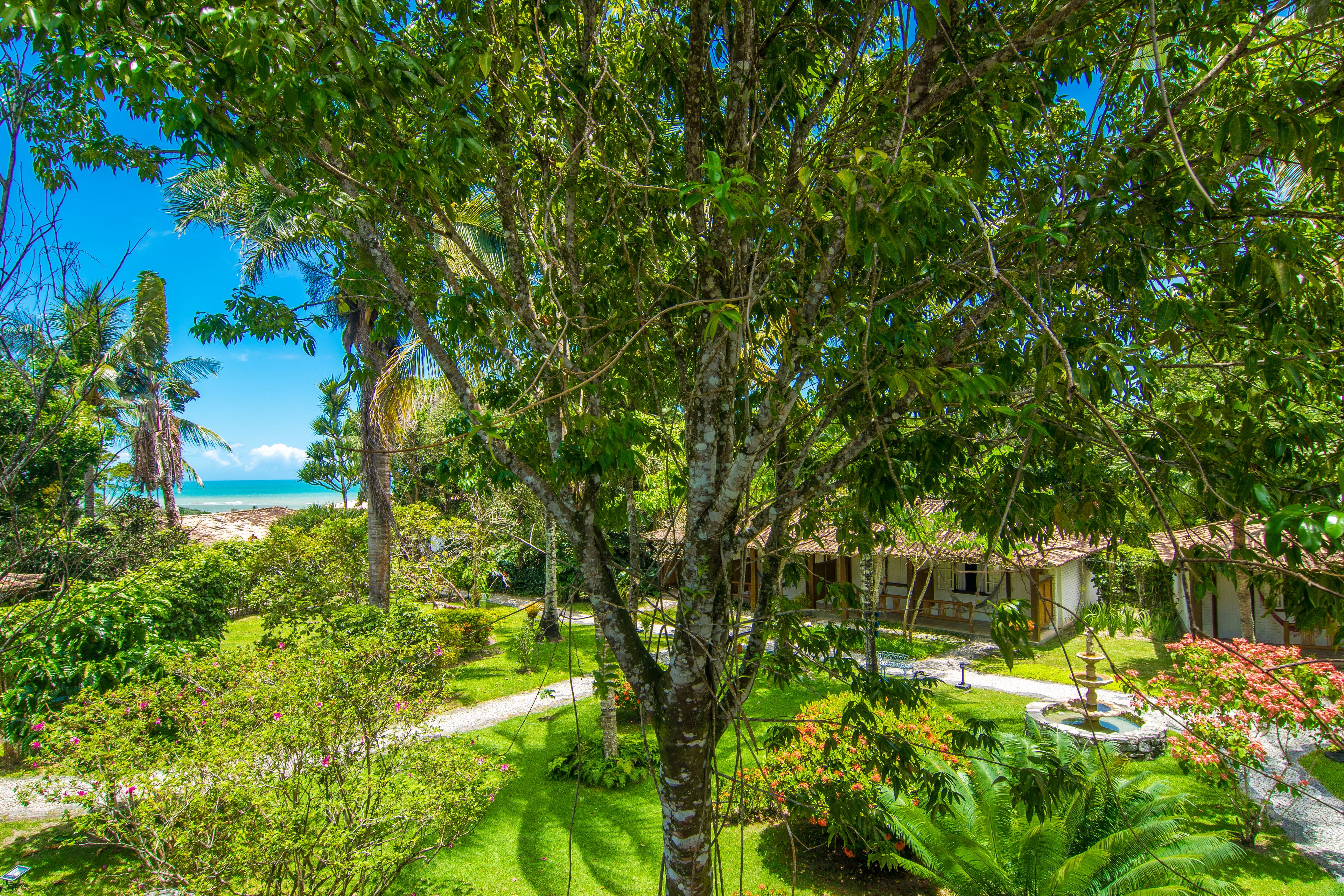 A lush garden with a fountain, a pathway, and a view of the ocean.