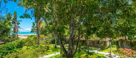 A lush garden with a fountain, a pathway, and a view of the ocean.