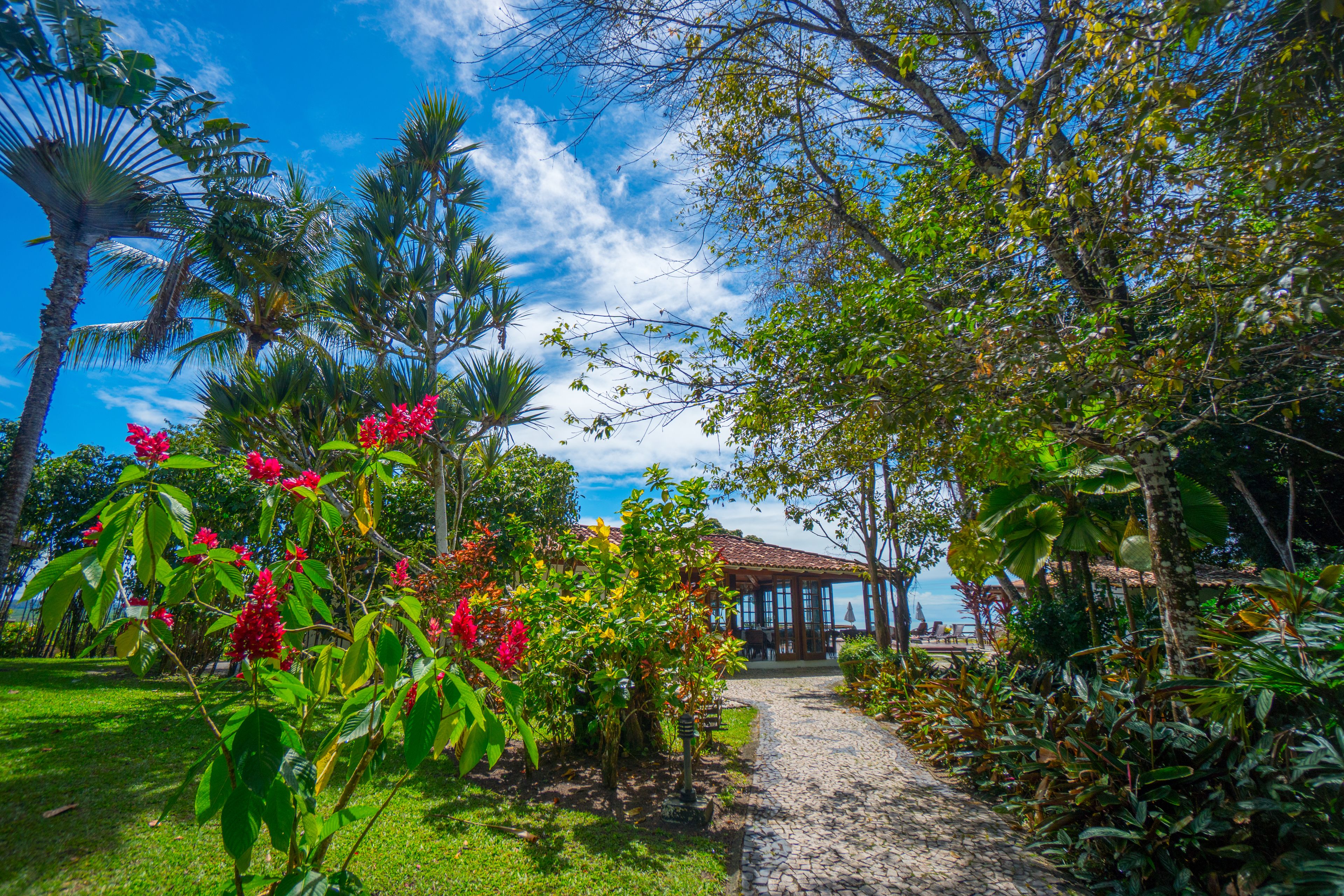 Jardim