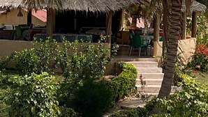 Un espacio de comedor al aire libre con techo de paja, sillas verdes y una palmera.
