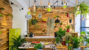 Cocina moderna con paredes de madera, plantas colgantes y un refrigerador verde.