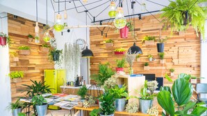 Una habitación con paredes de madera, varias plantas en macetas, lámparas colgantes y un refrigerador amarillo.