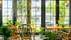 Un área de estar interior acogedora con sillas y mesas de madera, rodeada de plantas en macetas y grandes ventanales que dan a la calle.