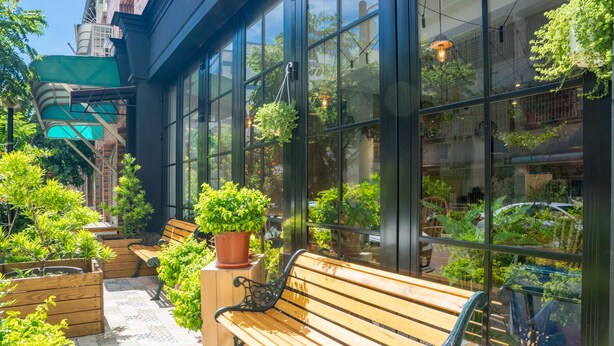 Un banco de madera y plantas en macetas en un espacio exterior soleado con ventanas amplias.