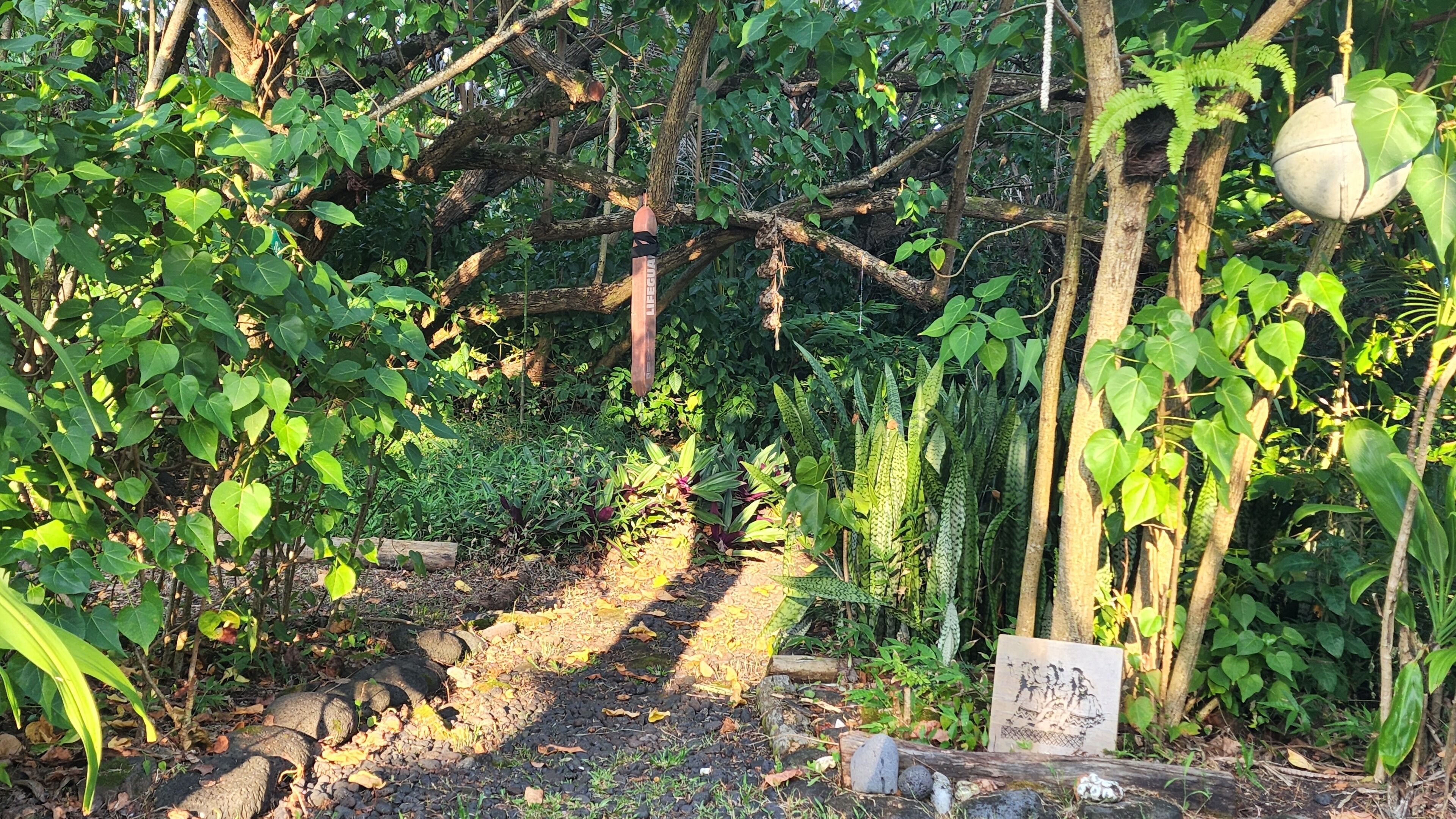 A garden path surrounded by lush greenery and a wooden sign.