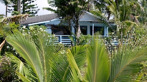 A house surrounded by lush tropical vegetation, including palm trees and ferns. - Ma'ukele Lodge (Pahoa)