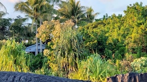 A volcanic landscape with a house partially obscured by vegetation. - Ma'ukele Lodge (Pahoa)
