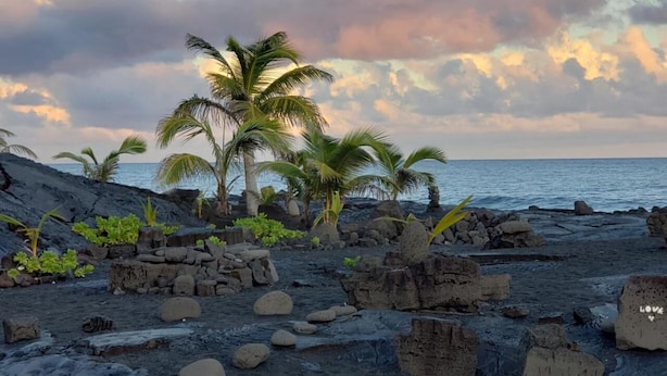 A beach with volcanic rocks, palm trees, and a calm sea under a cloudy sky. - Ma'ukele Lodge (Pahoa)