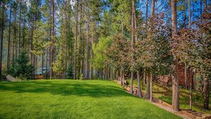 A forested area with a grassy field and a wooden cabin. - Earl Grey Lodge (Panorama)