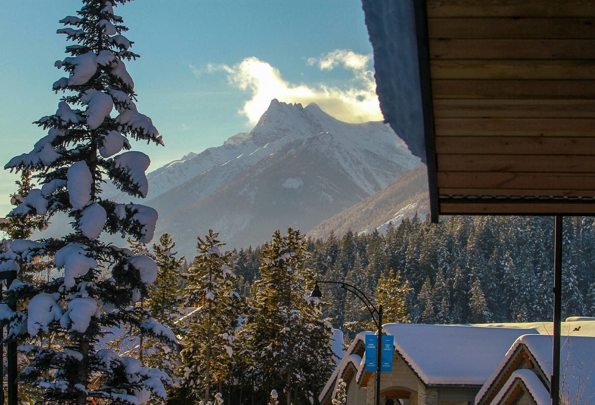 Vista sulle montagne, con alberi innevati e un edificio con tetto spiovente.