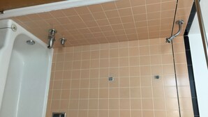 Room, 1 King Bed, Non Smoking | Bathroom shower - Manor Motor Lodge (Elko)