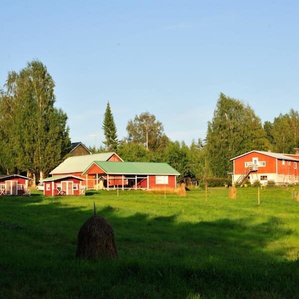 Udendørsområde