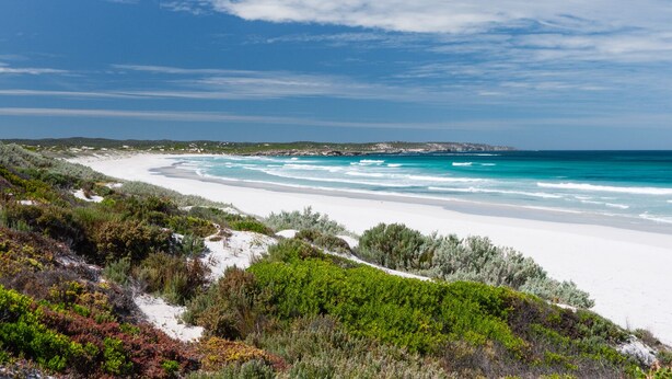A coastal landscape with a sandy beach, green vegetation, and a clear blue sky.