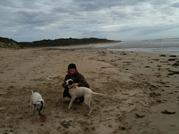 A beach with a person kneeling and holding a dog.