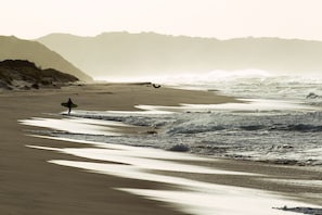 Surfe/bodyboard