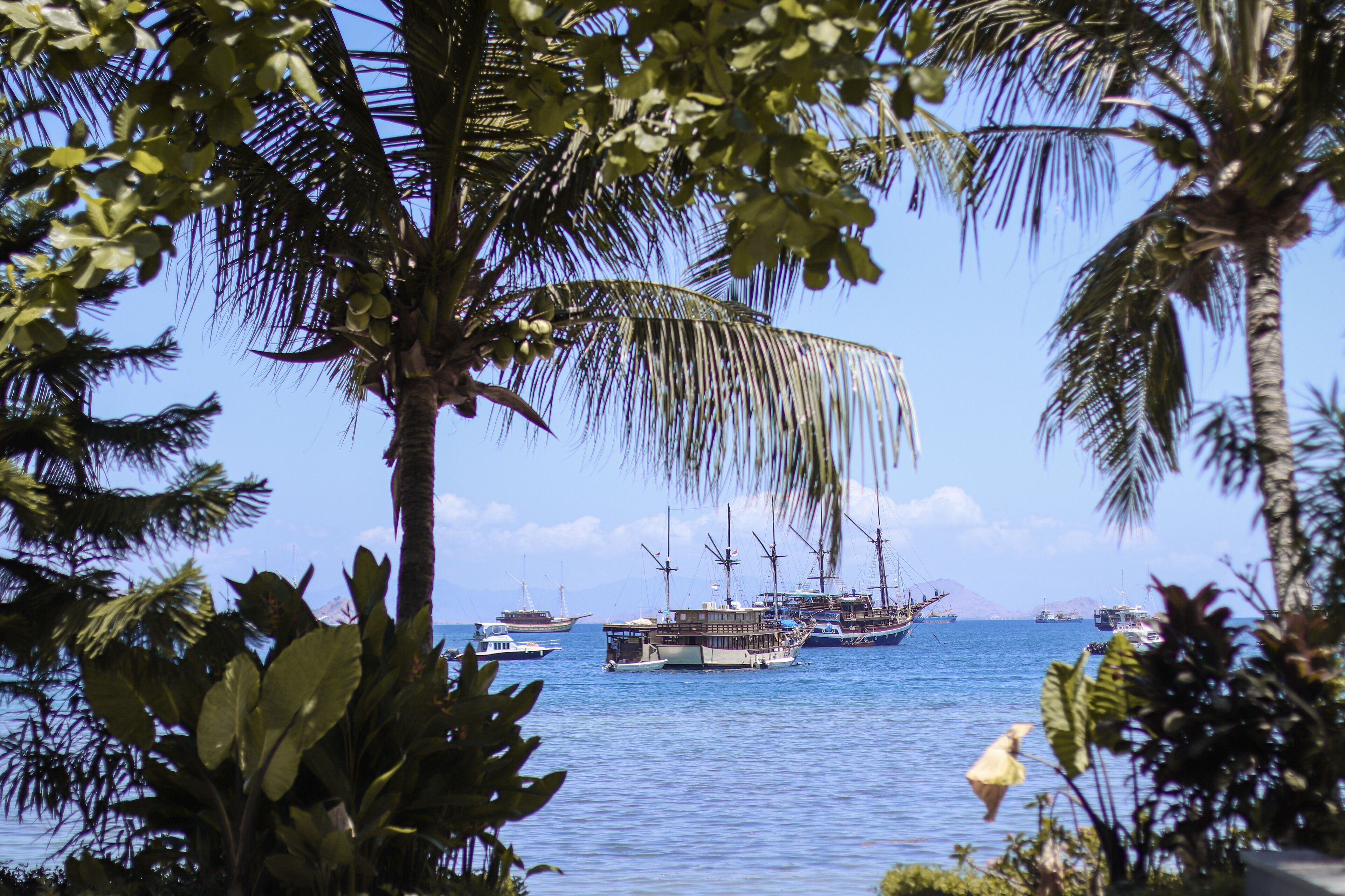 A coastal scene with several boats anchored in the water, surrounded by palm trees and clear skies.