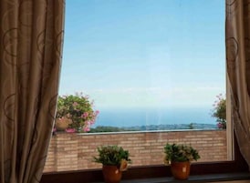 Una finestra con tende, due piante in vaso e una vista su un paesaggio lontano.