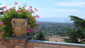 A large terracotta pot with pink flowers on a brick wall, overlooking a coastal town.