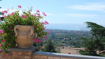 Khuôn viên nơi lưu trú