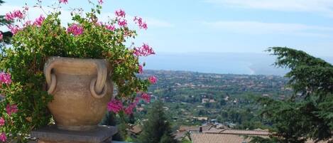 A large terracotta pot with pink flowers on a brick wall, overlooking a coastal town.