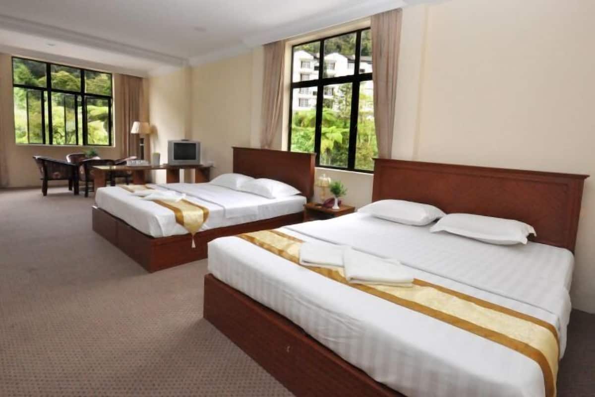 Escritorio, camas extra, wifi gratis y ropa de cama