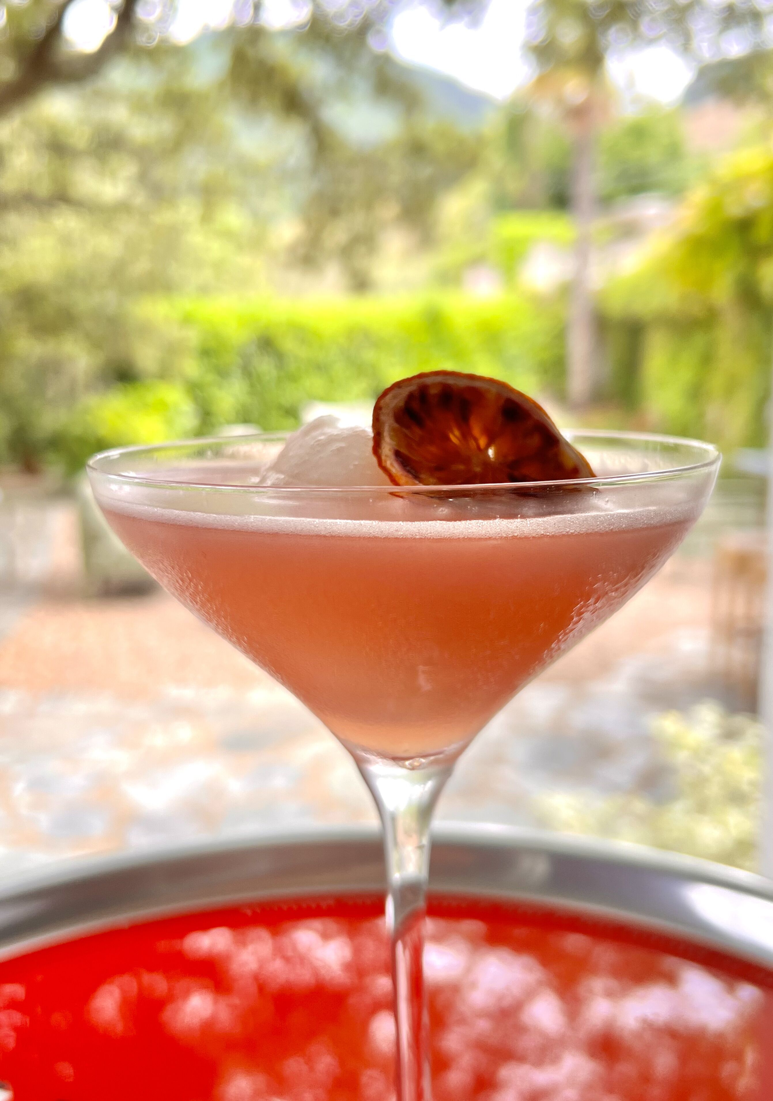 Una copa de martini con una bebida rosada, una rodaja de naranja deshidratada y cubitos de hielo.