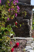 Un jardín con rosas rojas y flores moradas frente a un muro de piedra.